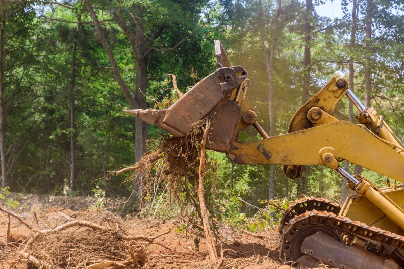 Whatâ€™s Involved In Professional Land Clearing?