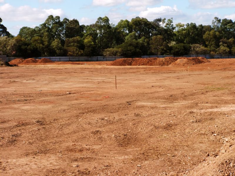 Environmental Clearing Firms