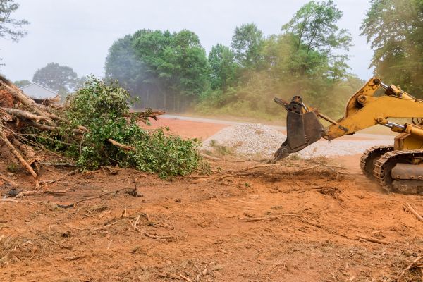 Ground Clearing in East Stroudsburg