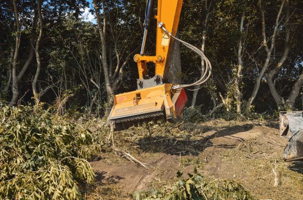 Brush Removal Service in East Stroudsburg