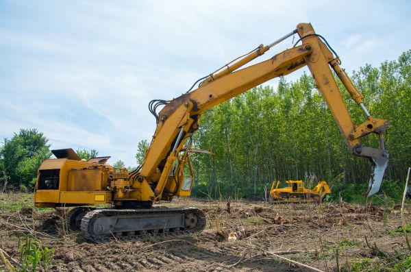 Farm Clearing in East Stroudsburg