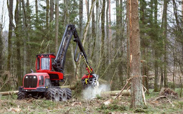 Forest Clearance Service in East Stroudsburg