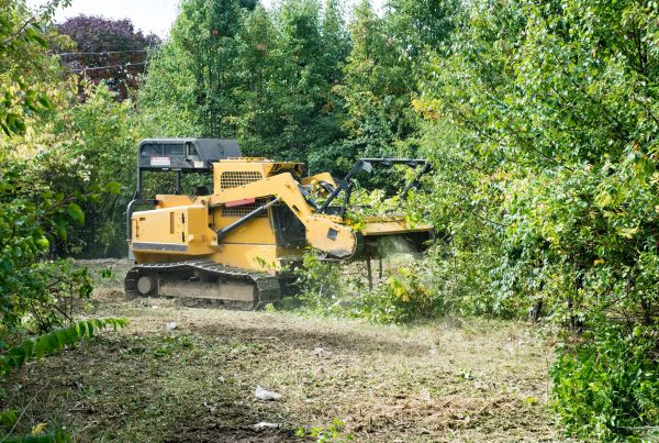 Pathway Clearing in East Stroudsburg