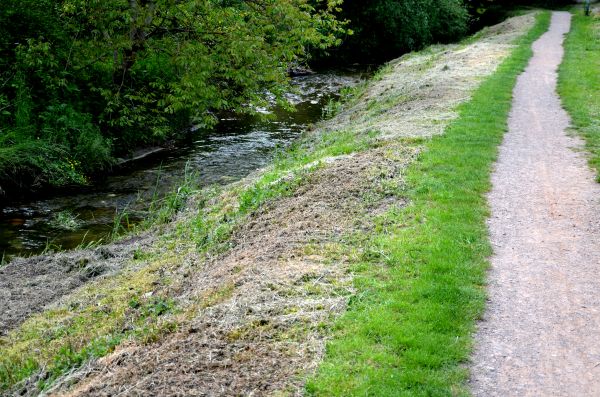 Trail Cutting in East Stroudsburg